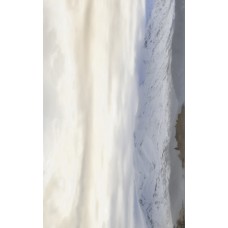Wanaka бежевый декор 1 250х400